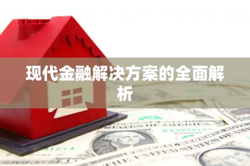洋县现代金融解决方案的全面解析