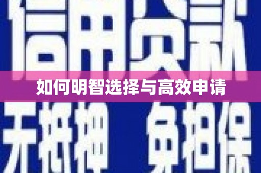 洋县如何明智选择与高效申请