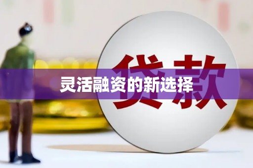 洋县灵活融资的新选择