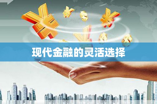 洋县现代金融的灵活选择