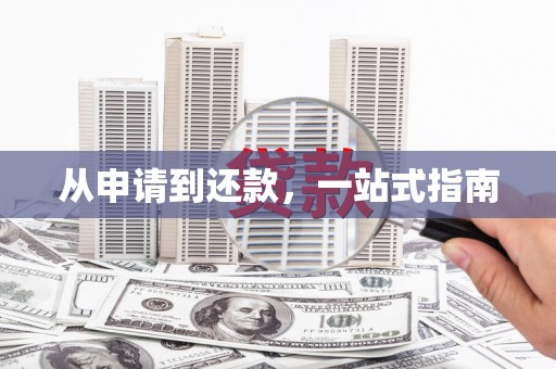 洋县从申请到还款，一站式指南