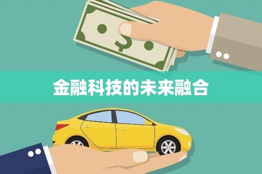 洋县金融科技的未来融合