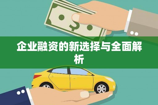 洋县企业融资的新选择与全面解析