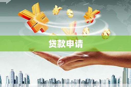 洋县贷款申请