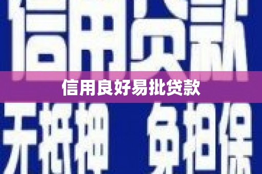 洋县信用良好易批贷款