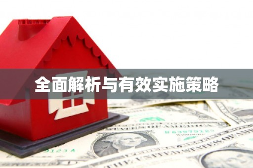 洋县全面解析与有效实施策略