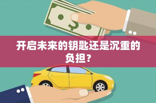 洋县开启未来的钥匙还是沉重的负担？