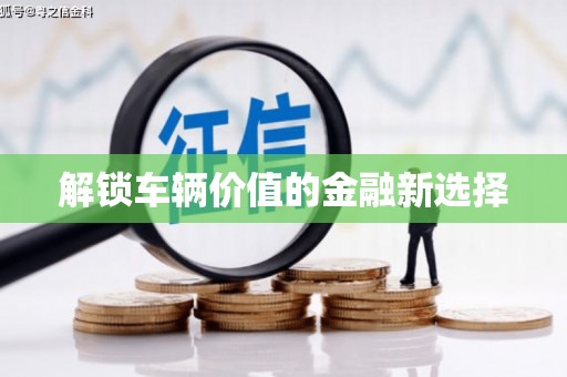 洋县解锁车辆价值的金融新选择