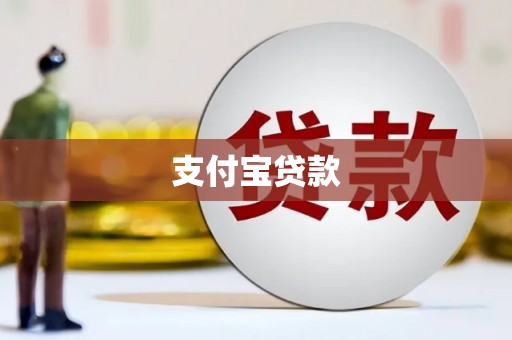 洋县支付宝贷款