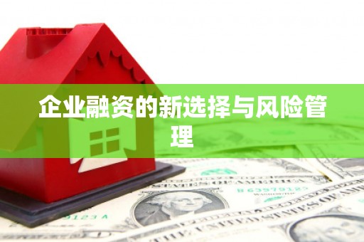 洋县企业融资的新选择与风险管理