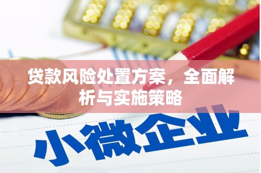 洋县贷款风险处置方案，全面解析与实施策略