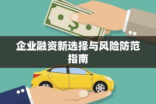 洋县企业融资新选择与风险防范指南