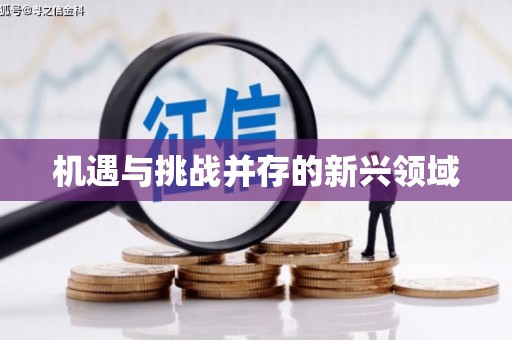 洋县机遇与挑战并存的新兴领域