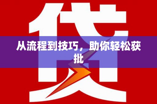 洋县从流程到技巧，助你轻松获批