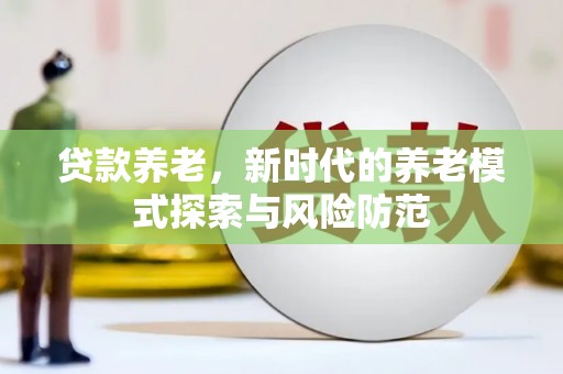 洋县贷款养老，新时代的养老模式探索与风险防范