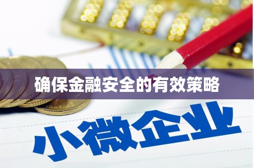洋县确保金融安全的有效策略