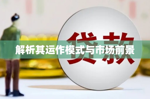 洋县解析其运作模式与市场前景