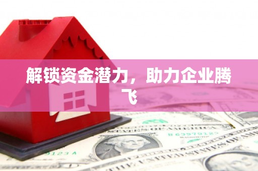 洋县解锁资金潜力，助力企业腾飞