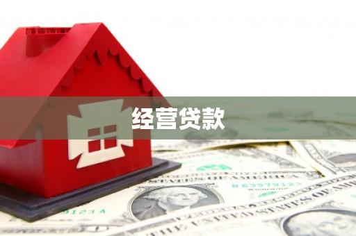 洋县经营贷款