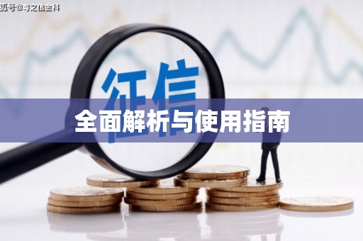 洋县全面解析与使用指南