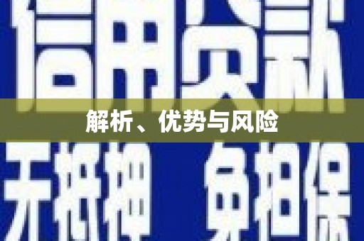 洋县解析、优势与风险