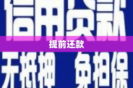 洋县提前还款