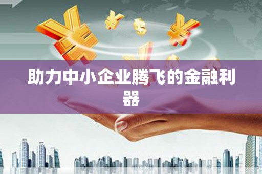 洋县助力中小企业腾飞的金融利器