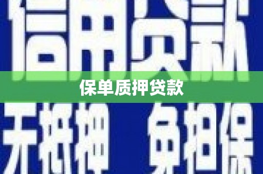 洋县保单质押贷款