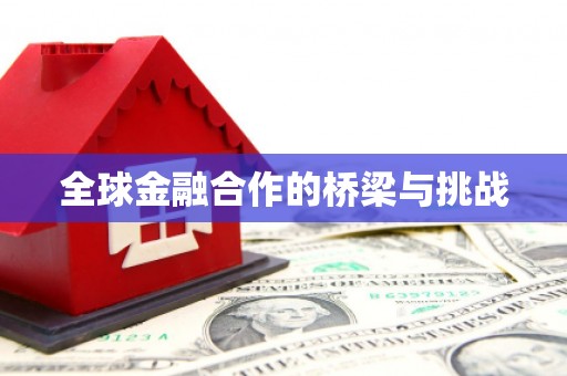 洋县全球金融合作的桥梁与挑战