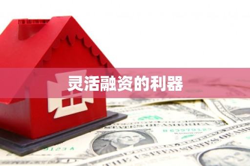 洋县灵活融资的利器