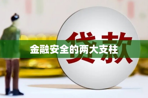 洋县金融安全的两大支柱