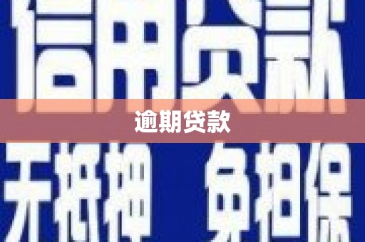 洋县逾期贷款