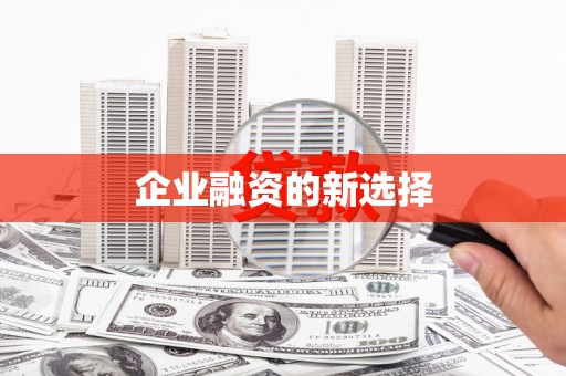 洋县企业融资的新选择