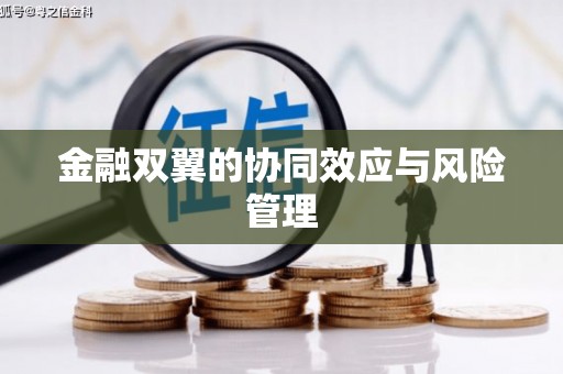 洋县金融双翼的协同效应与风险管理