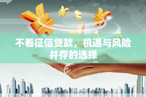 洋县不看征信贷款，机遇与风险并存的选择