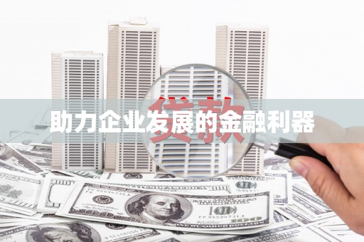 洋县助力企业发展的金融利器