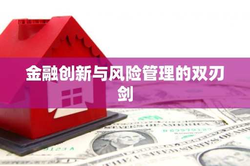 洋县金融创新与风险管理的双刃剑