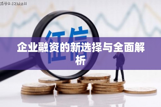 洋县企业融资的新选择与全面解析