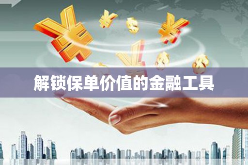 洋县解锁保单价值的金融工具