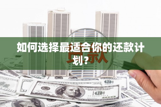 洋县如何选择最适合你的还款计划？