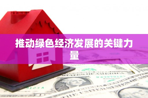 洋县推动绿色经济发展的关键力量