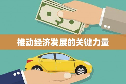 洋县推动经济发展的关键力量