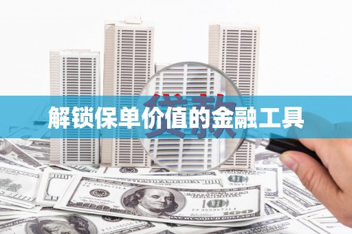 洋县解锁保单价值的金融工具