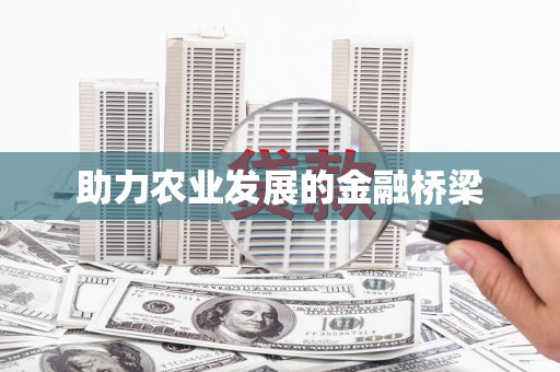 洋县助力农业发展的金融桥梁
