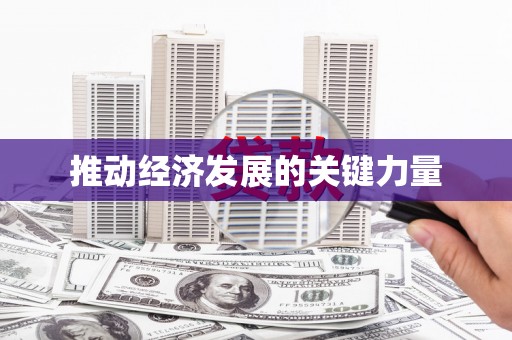 洋县推动经济发展的关键力量
