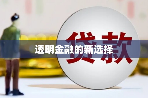 洋县透明金融的新选择