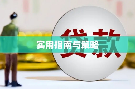洋县实用指南与策略