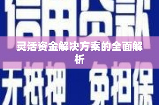 洋县灵活资金解决方案的全面解析