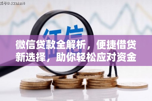 洋县微信贷款全解析，便捷借贷新选择，助你轻松应对资金需求