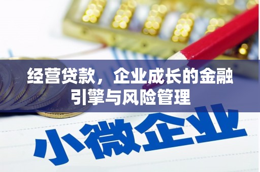 洋县经营贷款，企业成长的金融引擎与风险管理